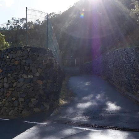 Апартаменти Complejo Rural Pajar De Bento Agulo Екстер'єр фото
